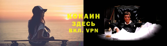 соль ск Арсеньев