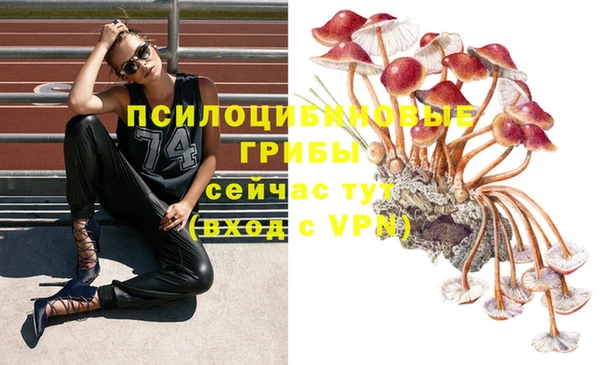 МДМА Аркадак