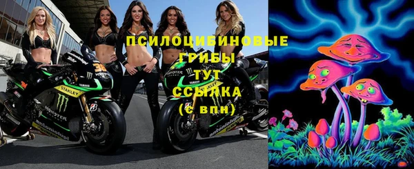 стаф Баксан