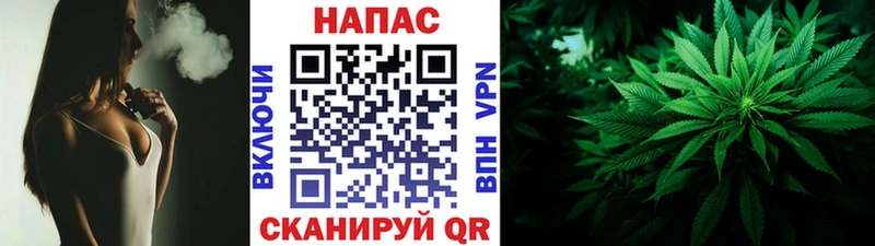 Шишки марихуана план  как найти закладки  Калязин 